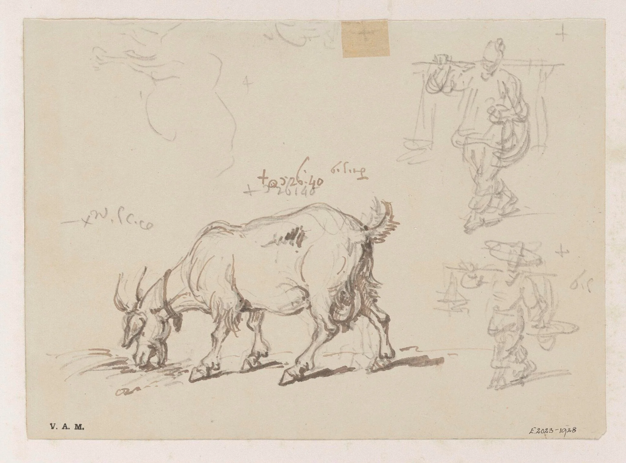 A goat, with two figure sketches, detail