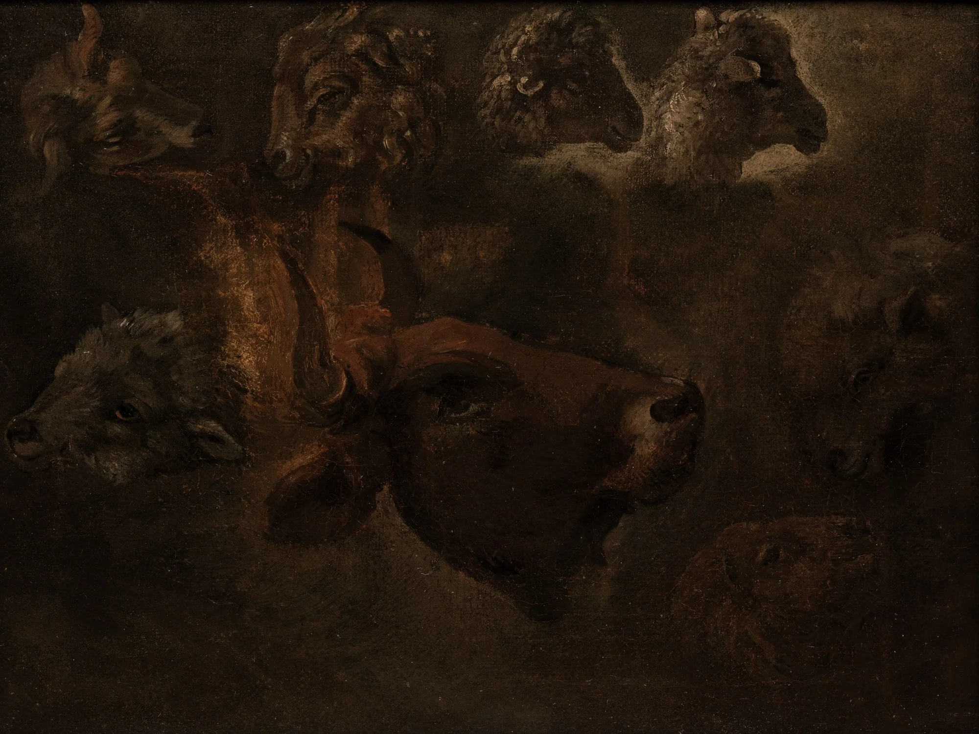 Studies of Animal Heads, detail