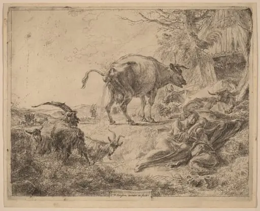 Cow Pissing, by Nicolaes Pieterszoon Berchem, ink, 1652