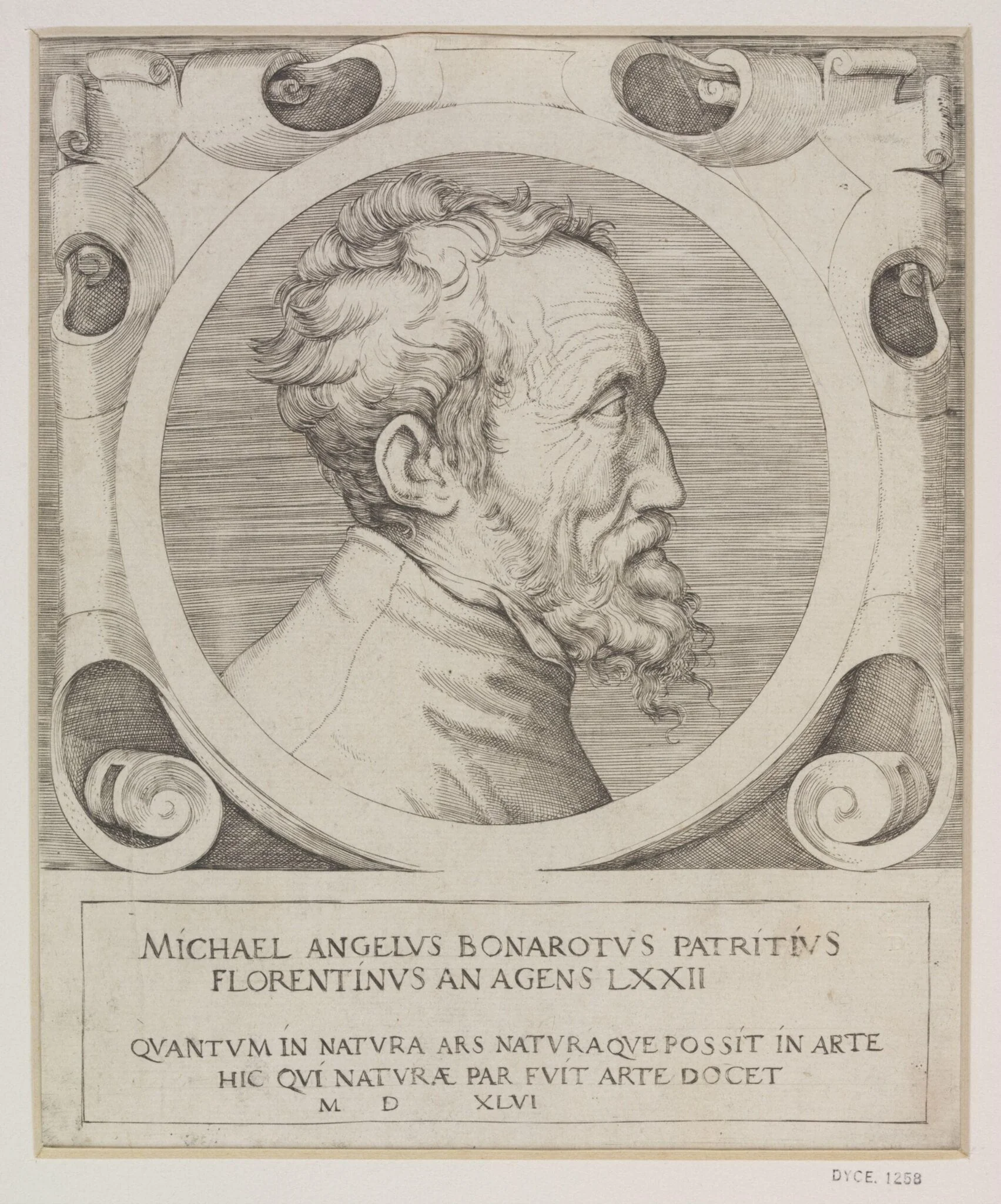 Michelangelo, detail