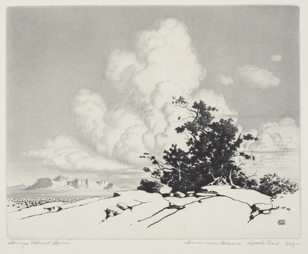Summer Cloud, Apache Trail, Arizona, by George Elbert Burr, ink, 1927