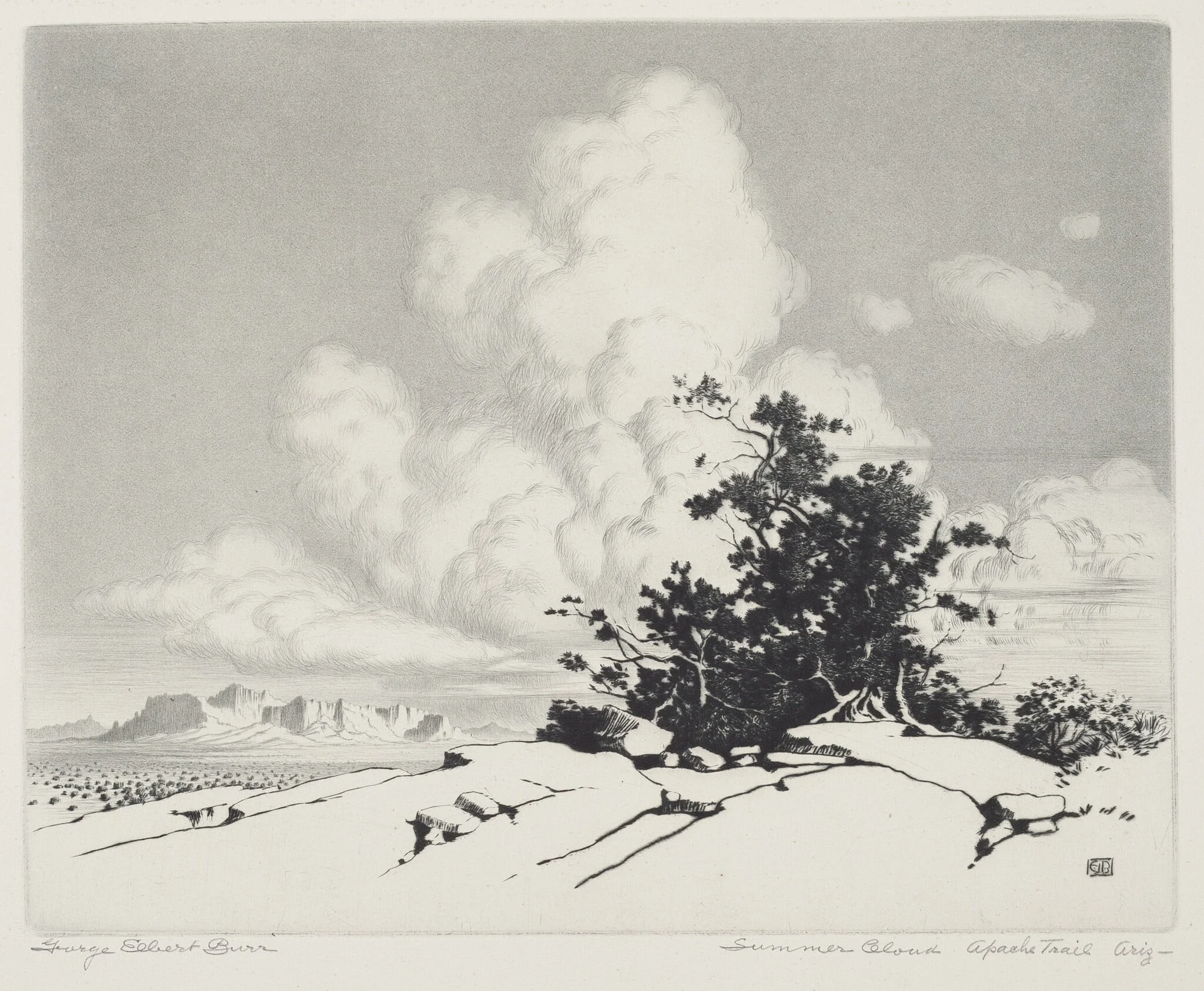 Summer Cloud, Apache Trail, Arizona, detail