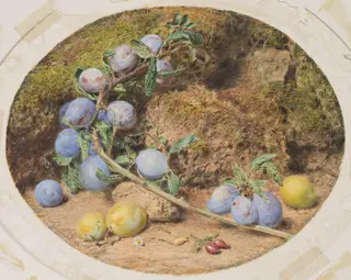 Untitled, by William Henry Hunt, watercolor, 1837