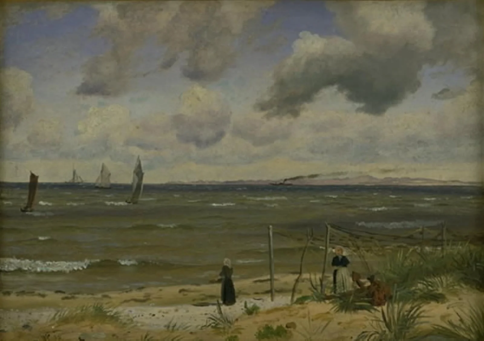 Hornbæk Strand in the North of Sealand, detail