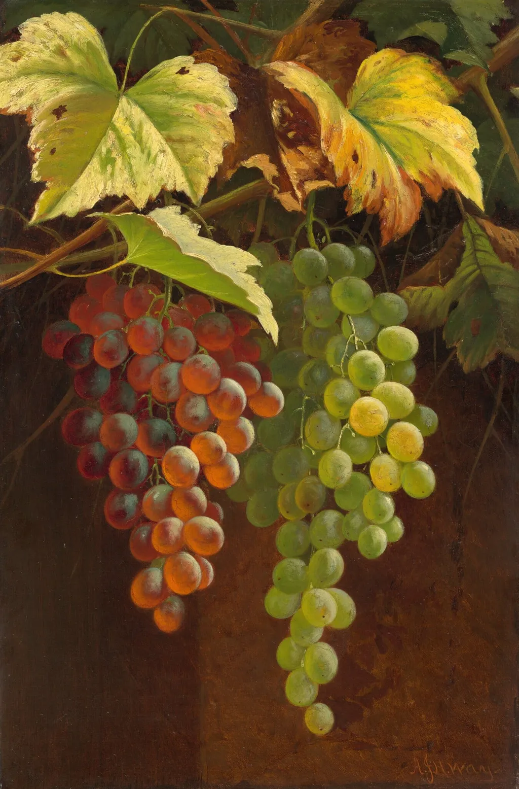 Two Bunches of Grapes, by Andrew John Henry Way, oil, 1857