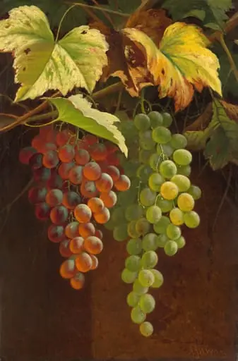 Two Bunches of Grapes, by Andrew John Henry Way, oil, 1857