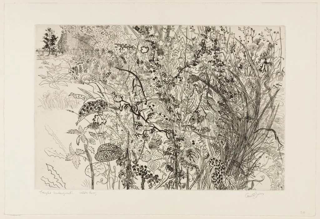 Untitled, detail