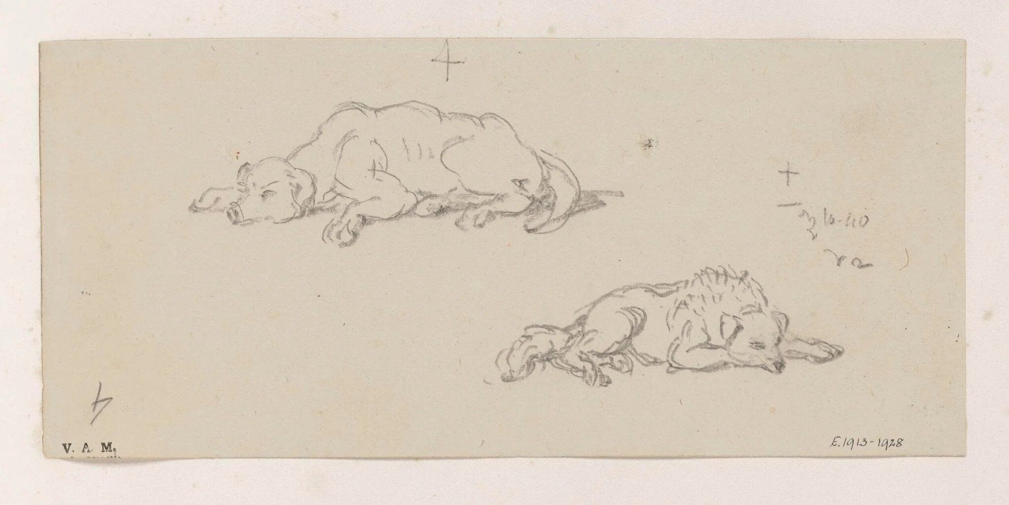 Two studies of a sleeping dog, detail