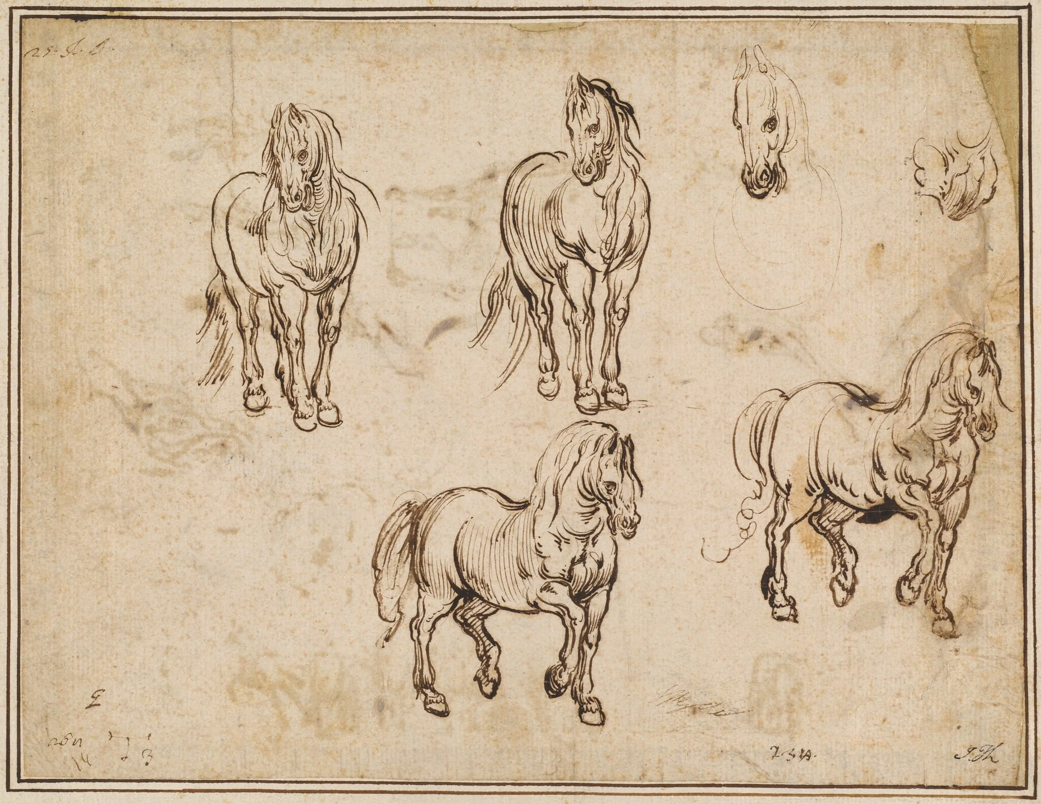 Studies of Horses [recto], detail
