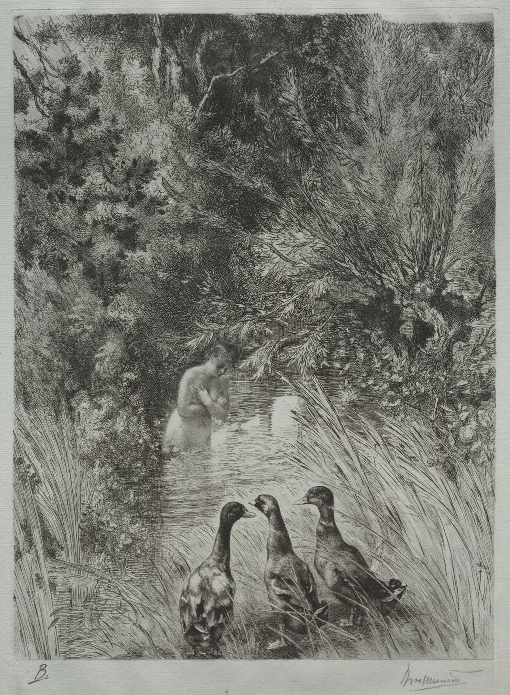The Surprised Ducks, by Félix Bracquemond, 1882