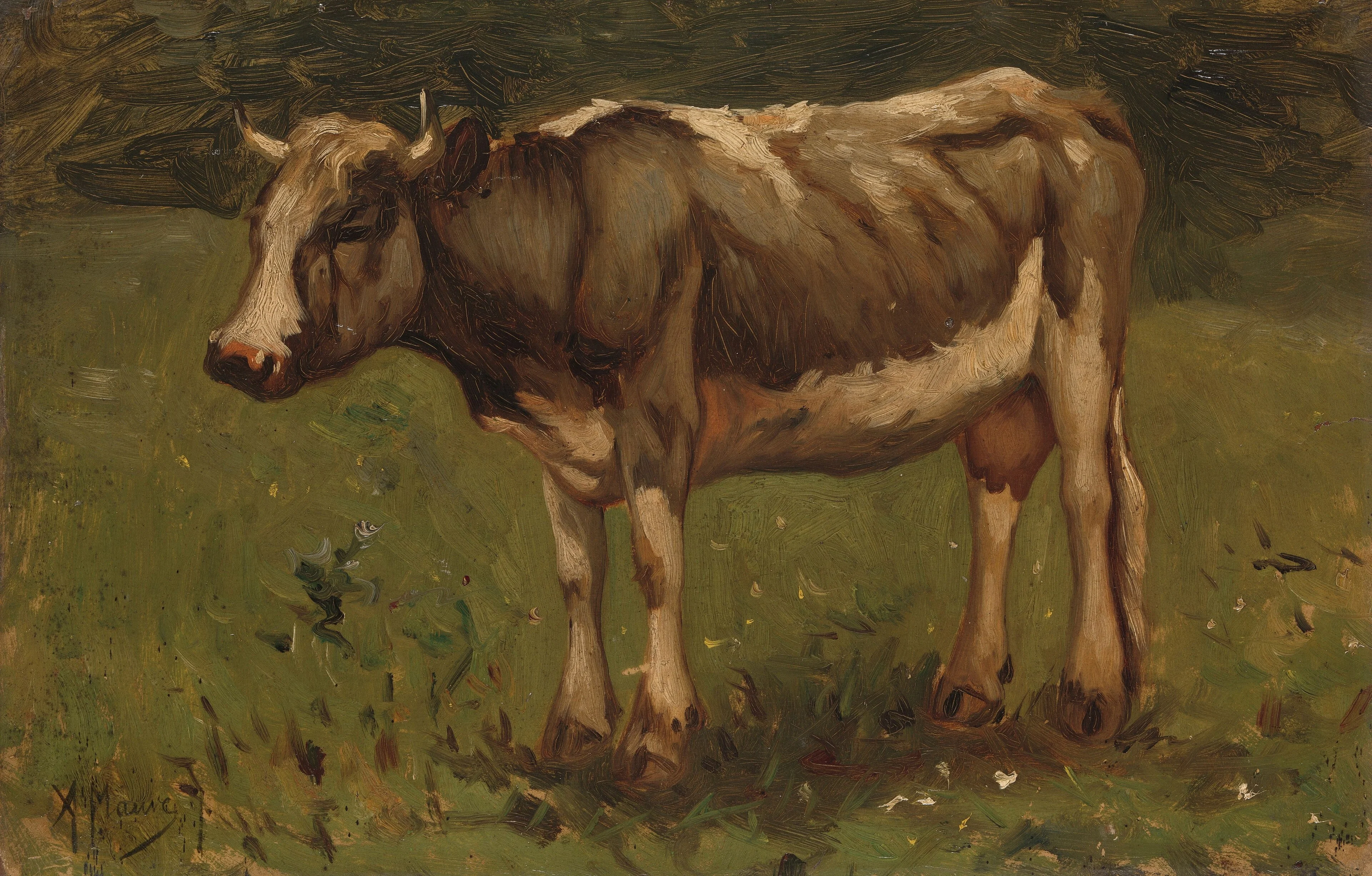 Cow, detail