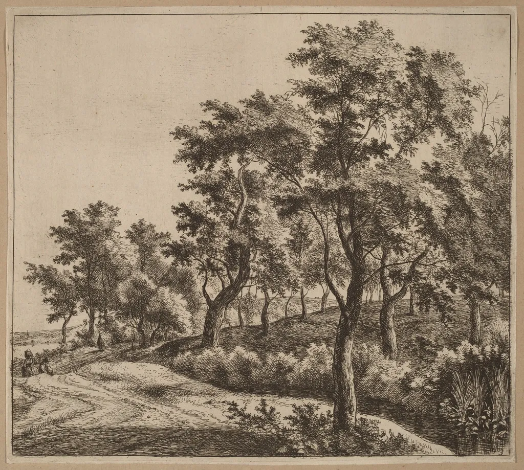 Landscape with a Stream, by Jan Hackaert, ink, 1664