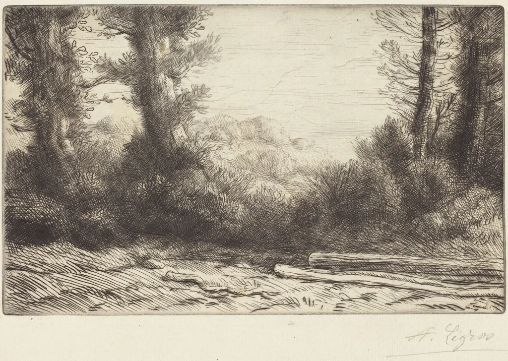 Edge of a Wood (Lisiere de bois), by Alphonse Legros, ink, 1874
