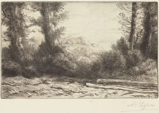 Edge of a Wood (Lisiere de bois), by Alphonse Legros, ink, 1874