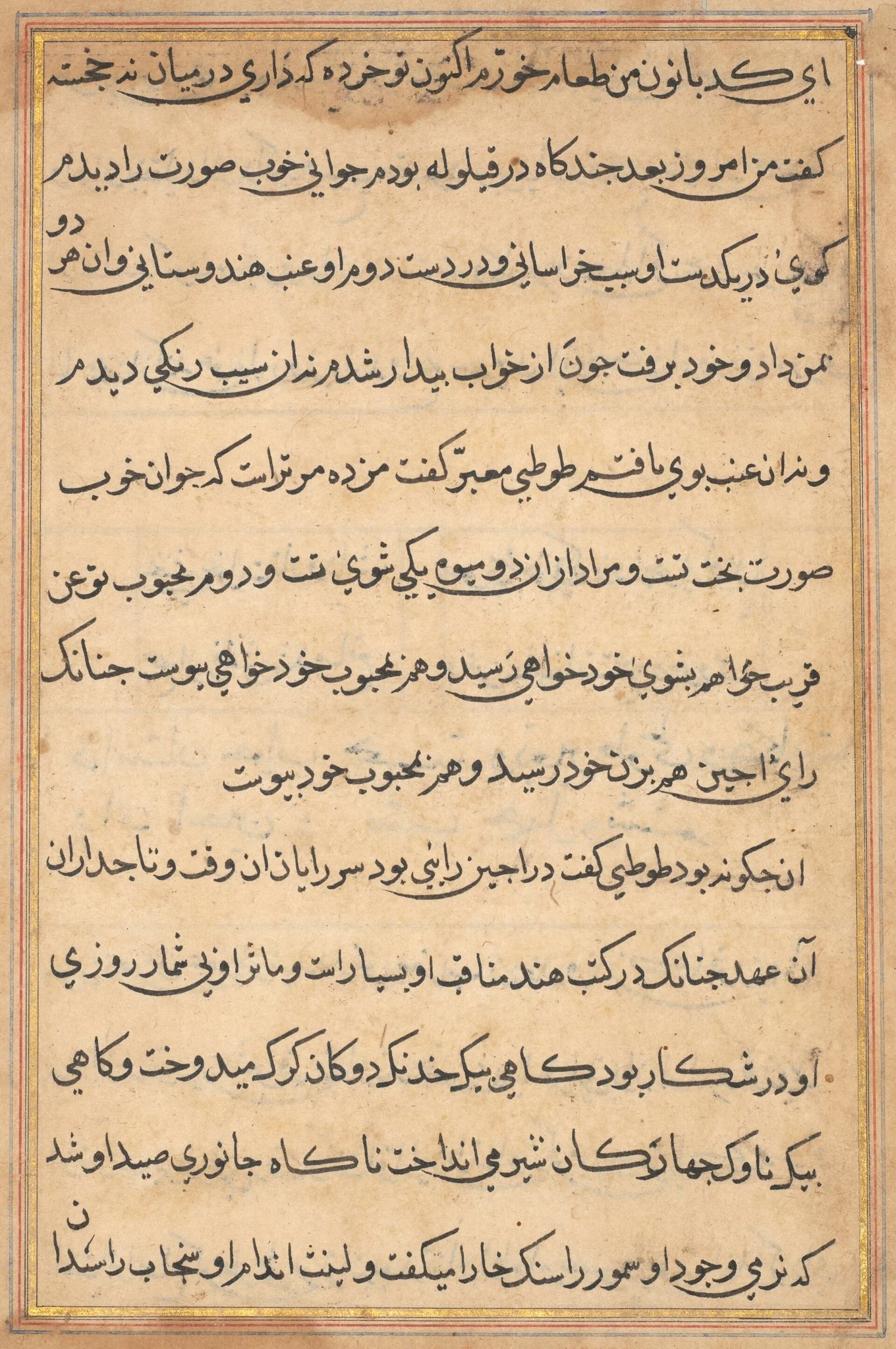 Page from Tales of a Parrot (Tuti-nama): text page, detail