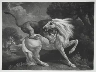 A Horse Attacked by a Lion, by George Stubbs, 1788