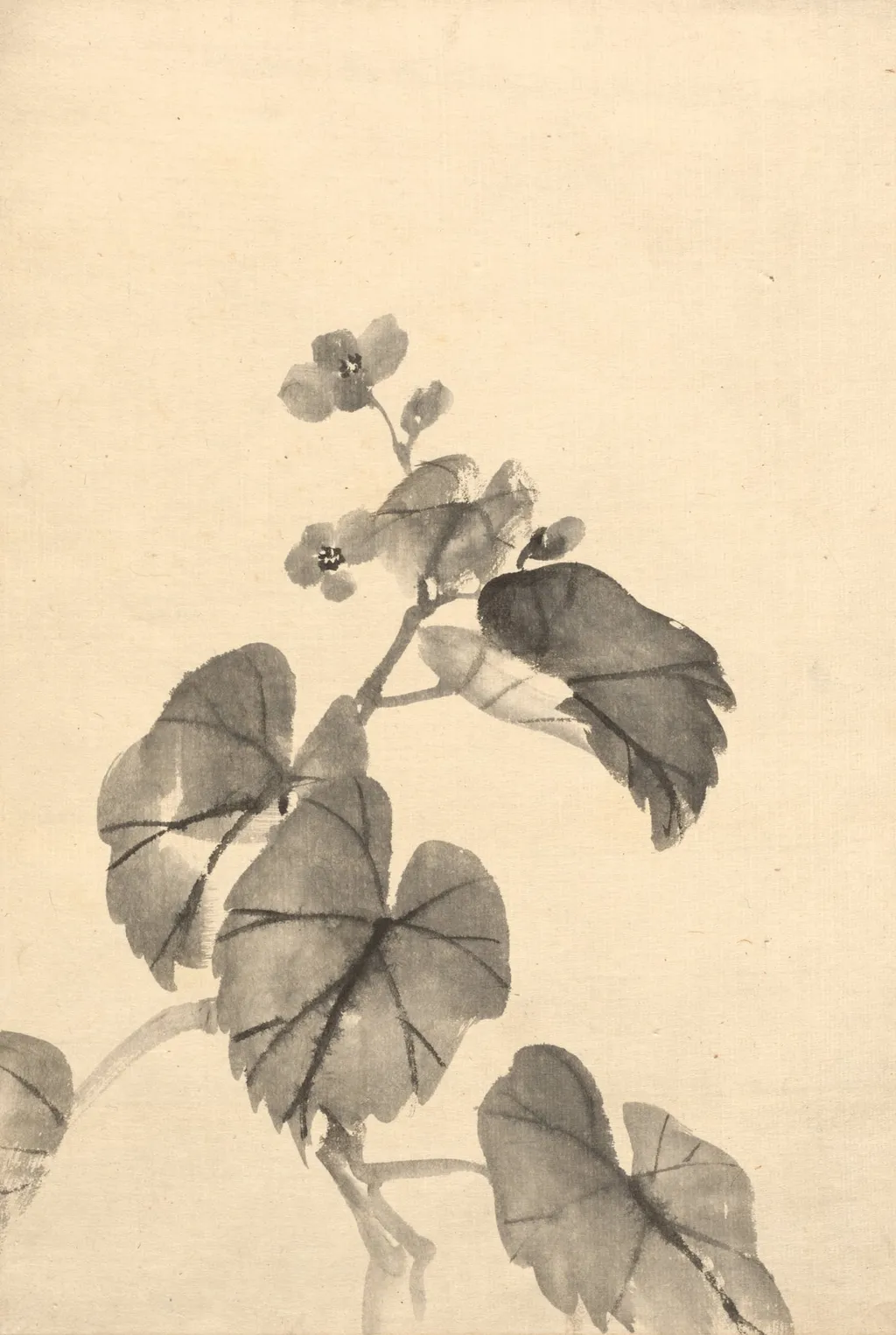 Branch of Begonia in Bloom, by Kōno Bairei, 1888