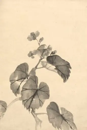 Branch of Begonia in Bloom, by Kōno Bairei, 1888