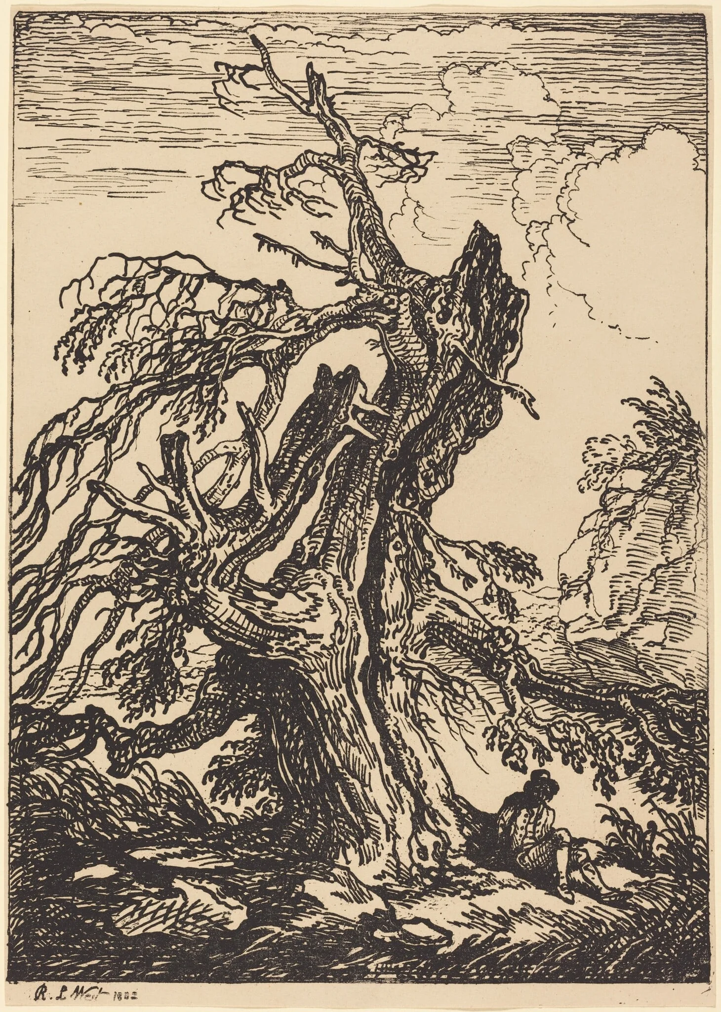 Study of a Tree, detail