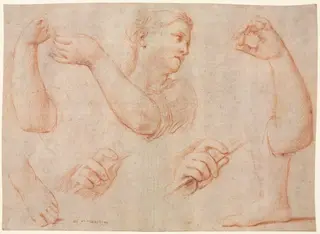 Study of a Young Woman Playing a Tambourine, and Studies of an Arm, Hands, and Feet (Studies for  "Miriam Leading the Chorus of Women Who Give Thanks for the Routing of Pharoah", by Marcantonio Franceschini, 1711