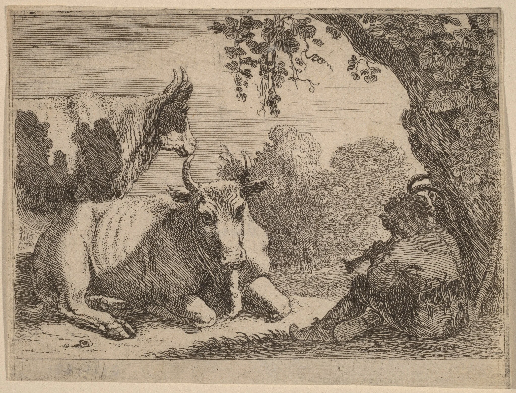 Cows, detail