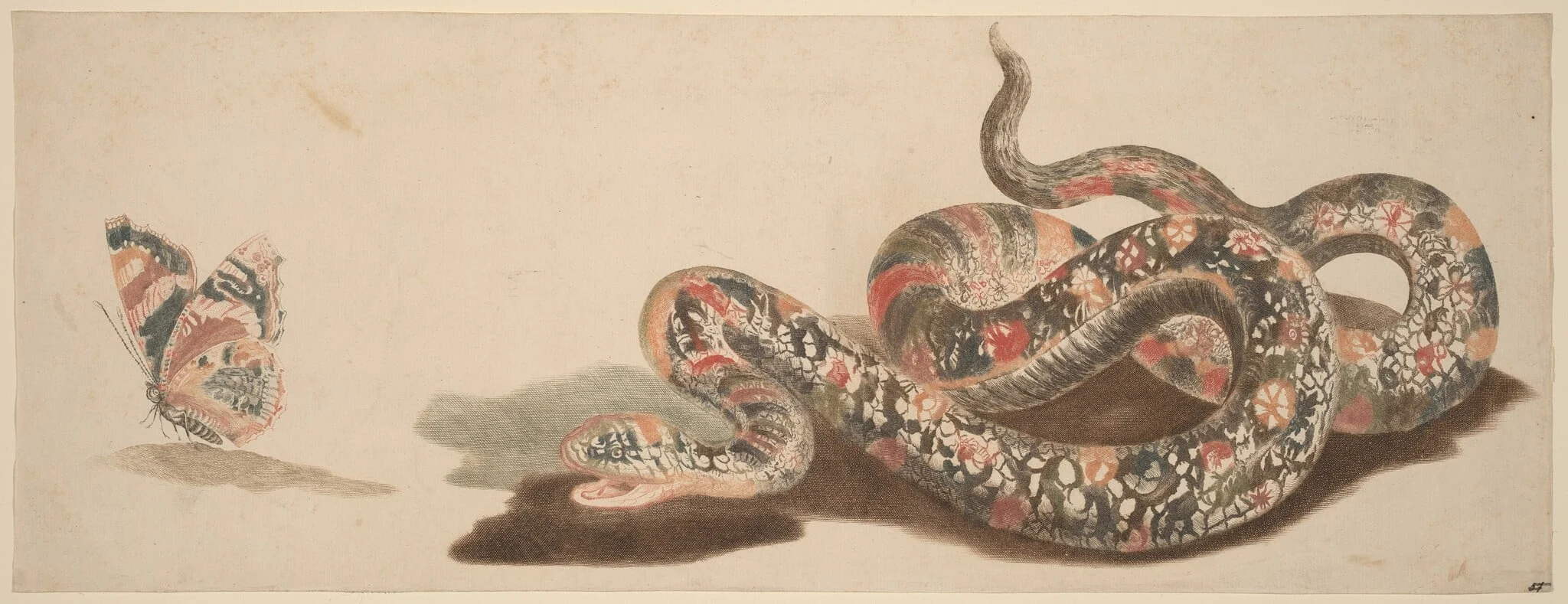 Snake and Butterfly, detail