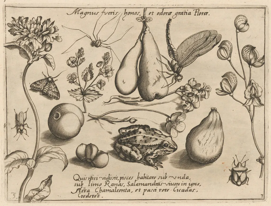 Archetypa studiaque patris Georgii Hoefnagelii [Part 3, Plate 3], by Jacob Hoefnagel, ink, 1592