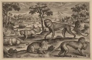 Three Cats and Two Monkeys, by Adriaen Collaert, ink, 1597