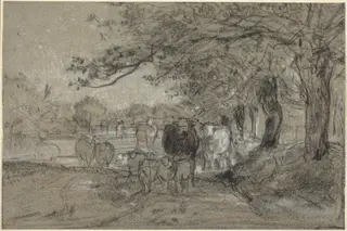 Cows and Sheep under Trees, by Constant Troyon, charcoal, 1850
