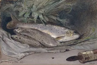 Group of trout, by Walter Fryer Stocks, watercolor, 1879