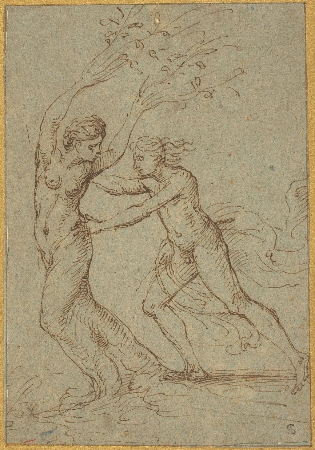 Apollo and Daphne, by Giulio Romano, ink, 1522