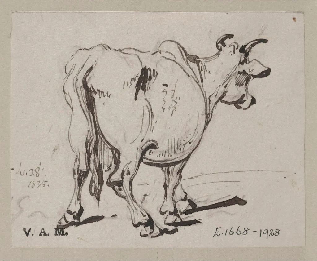 A cow seen from behind, by George Chinnery, 18
