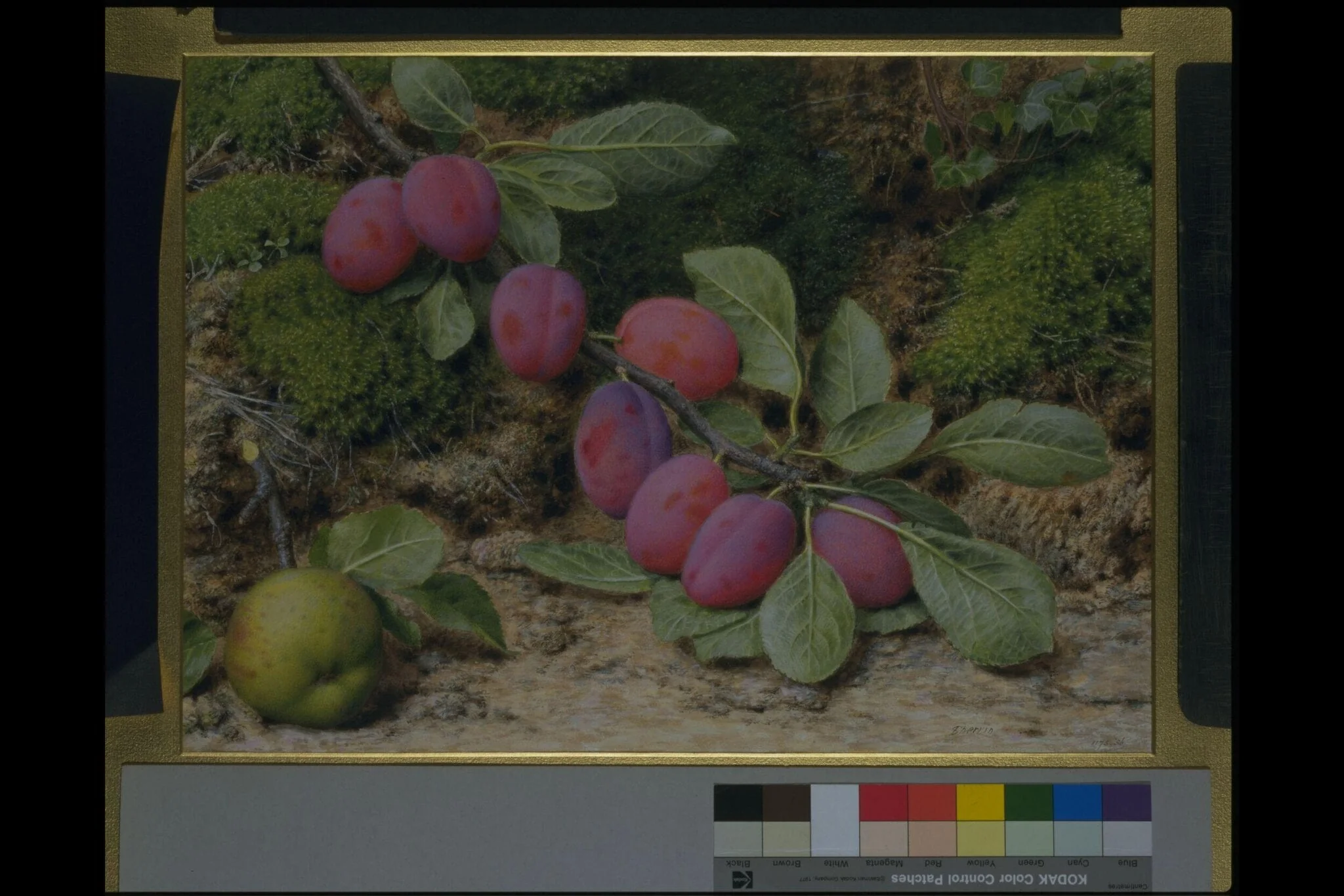 Branch of plums and an apple, detail