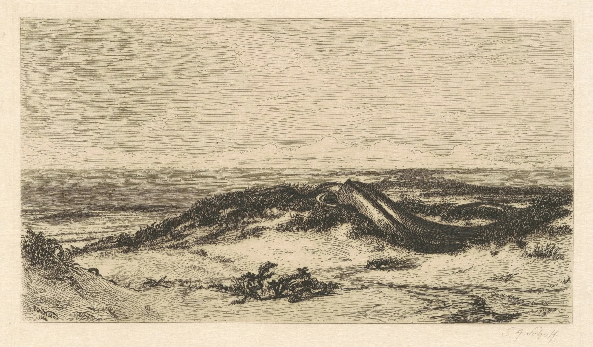 The Sea Serpent, detail