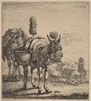 Two Mules, by Karel Dujardin, ink, 1650