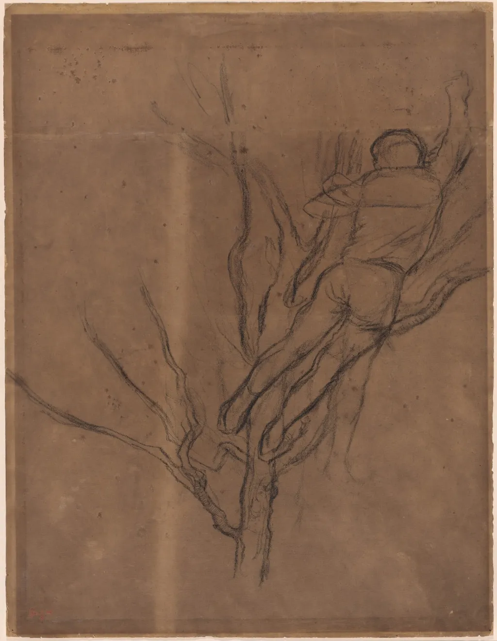 Man Pruning a Tree, by Edgar Degas, charcoal, 1876