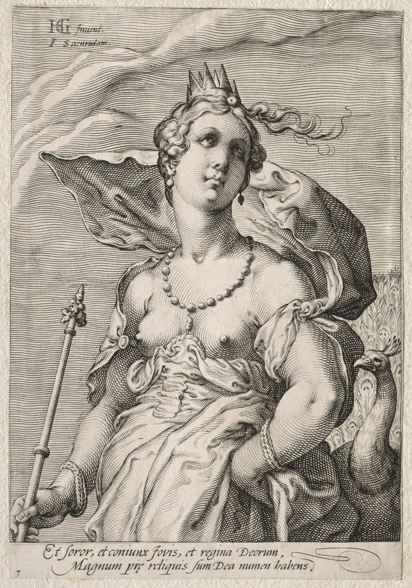 Juno, detail