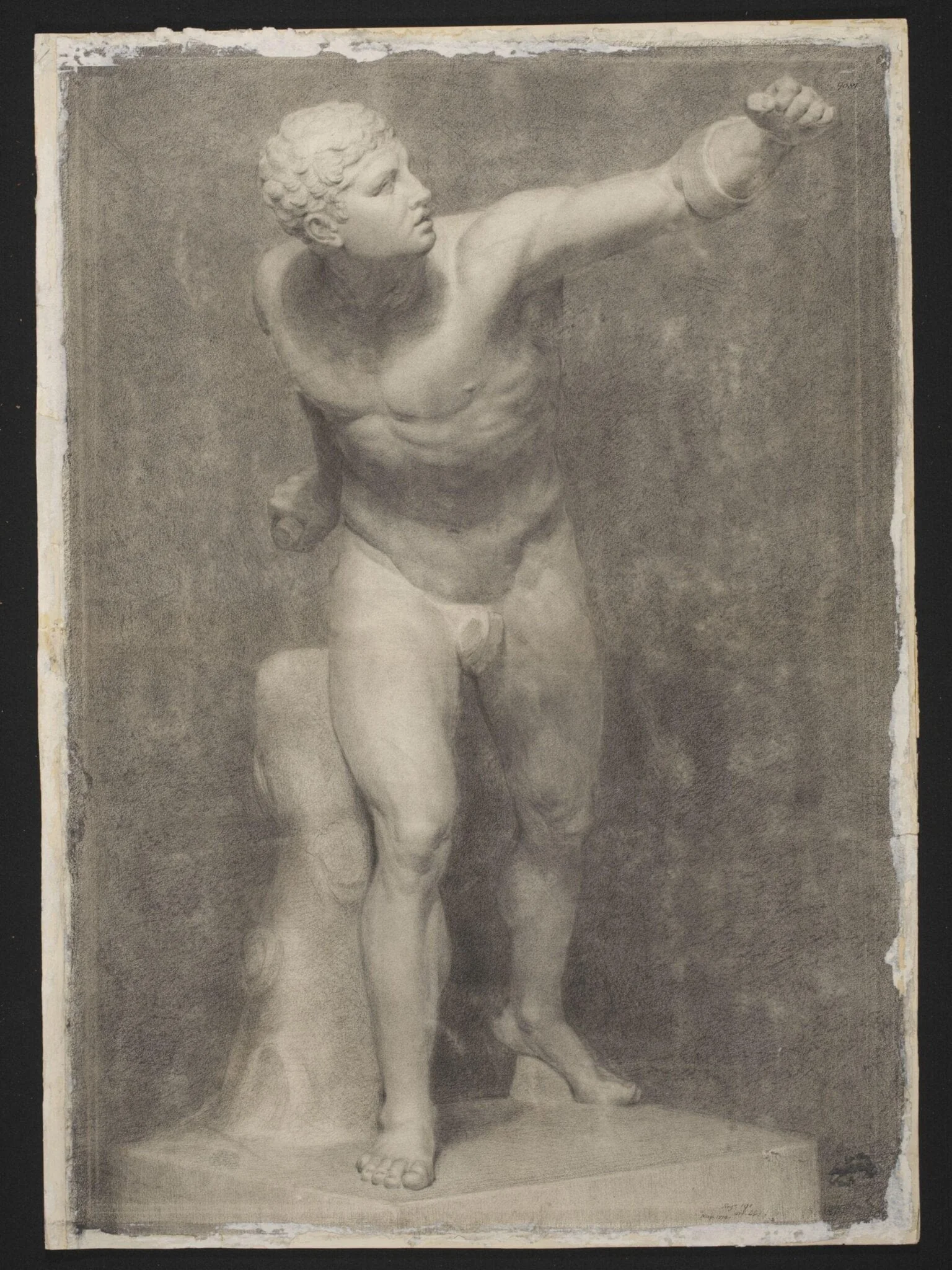 Study of a plaster cast of the Borghese Gladiator, detail