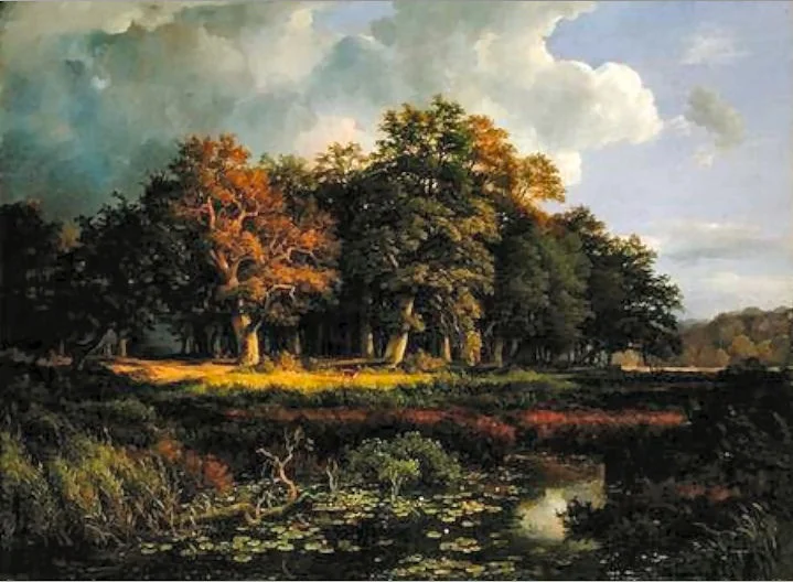 Der Stangenmühlengrund im Sachsenwald, detail