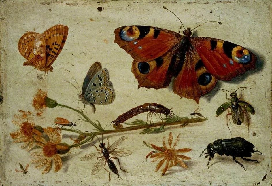 Three Butterflies, a Beetle and other Insects, with a Cutting of Ragwort, detail