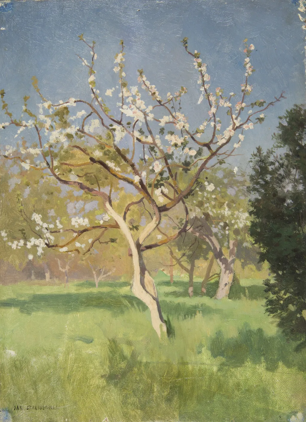 Apple-Tree in Blossom, by Jan Stanisławski, oil, 1899
