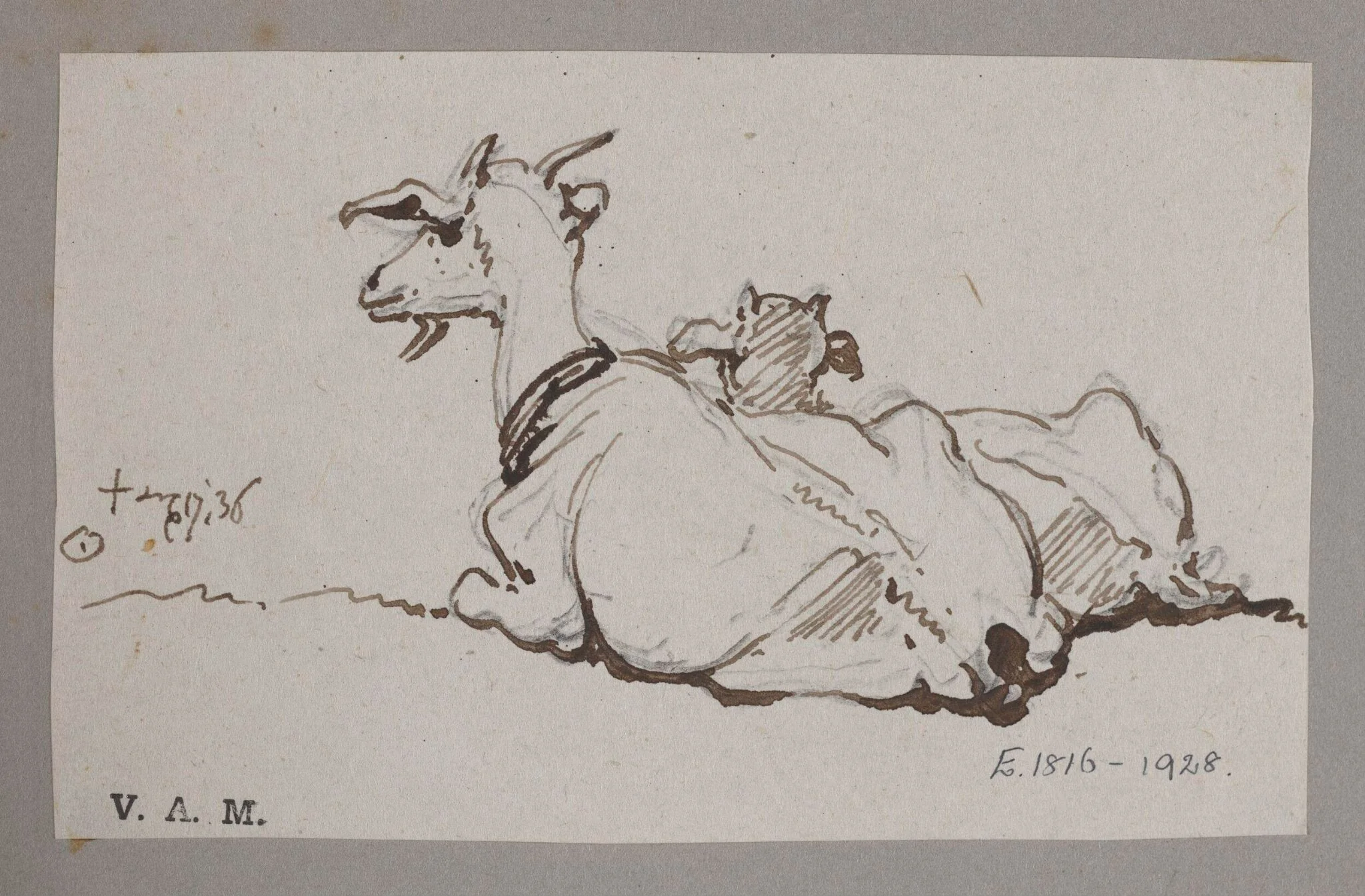 A goat and kid, detail