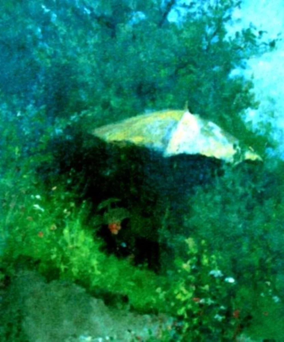 Pictoriță în peisaj, detail