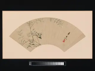 Bush Clover, by Suzuki Kiitsu, unspecified, 1741