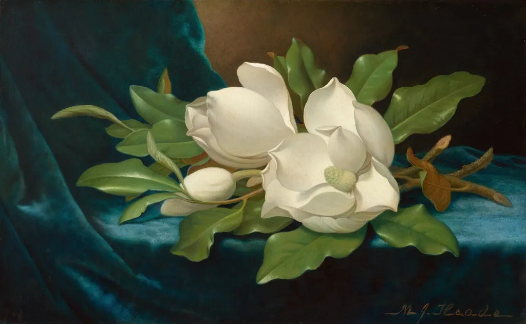 Giant Magnolias on a Blue Velvet Cloth, by Martin Johnson Heade, oil, 1890