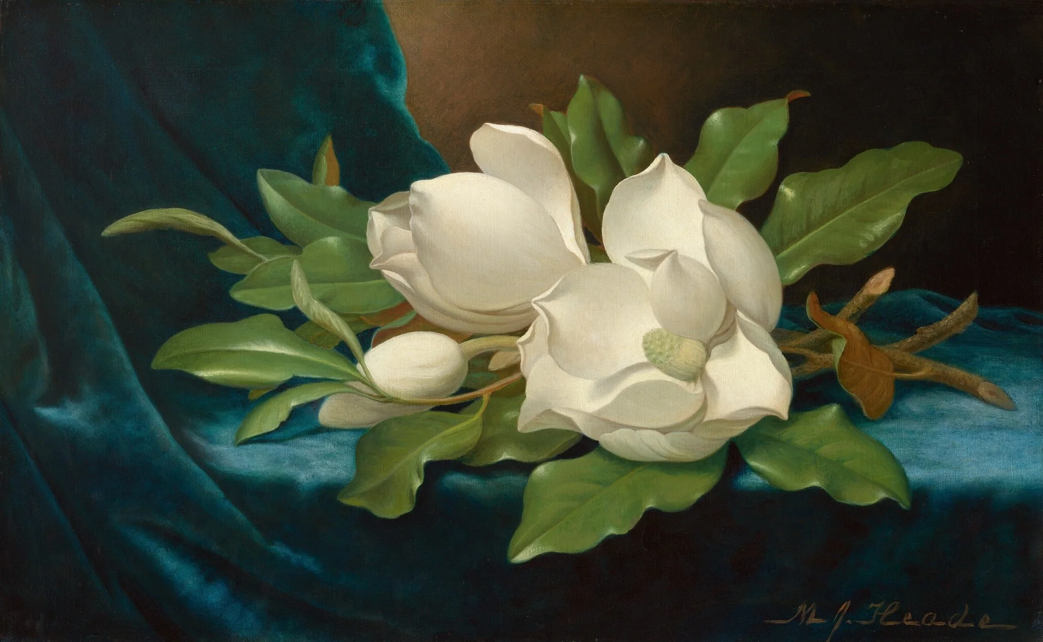 Giant Magnolias on a Blue Velvet Cloth, detail