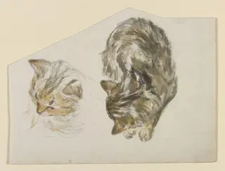 A kitten sleeping; head of a kitten, by Beatrix Potter, watercolor, 1850