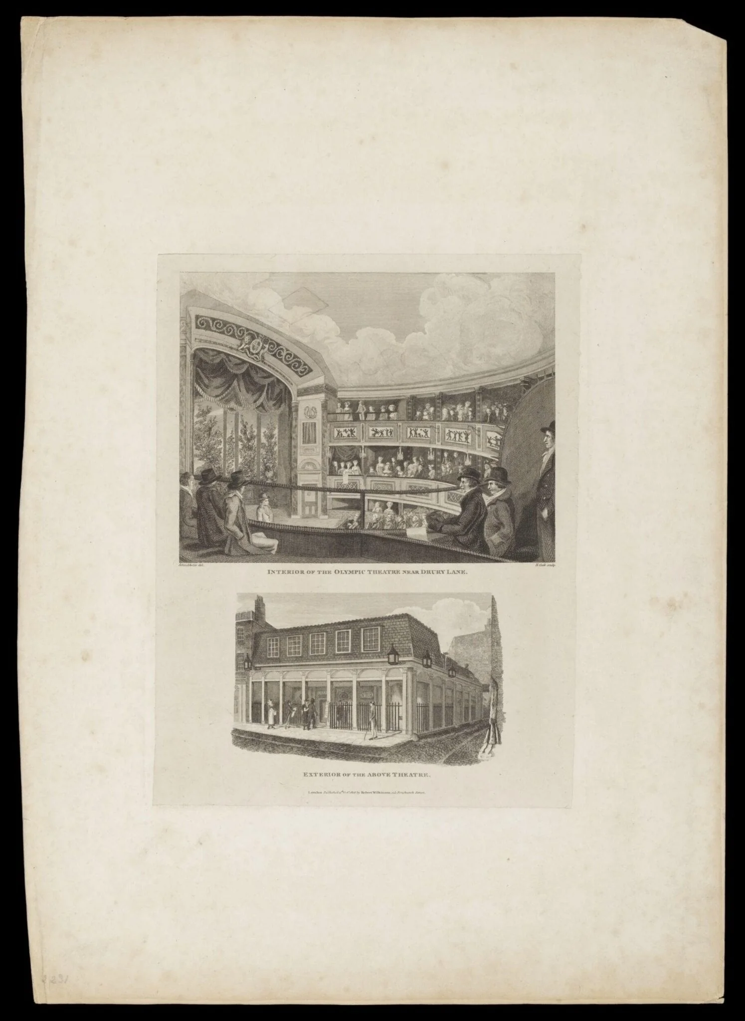 H Beard Print Collection, detail