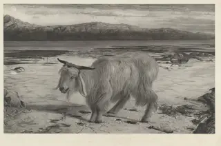 The Scapegoat, by Charles Mottram, ink, 1861