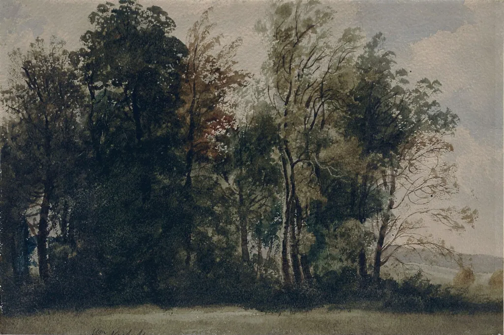 A Roadside Study, Belfast, by William Nicholl, watercolor, 1850